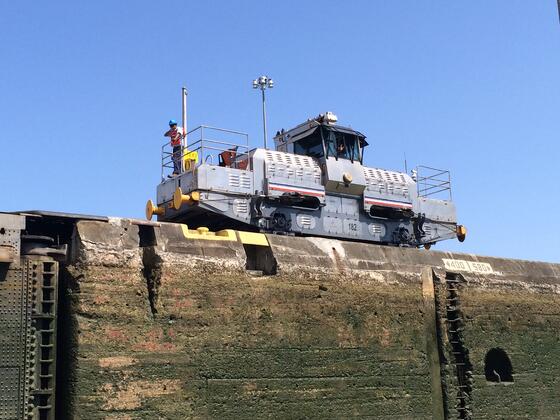 "Mules" guide large ships through the Panama Canal. "Mules" guide large ships through the Panama Canal.